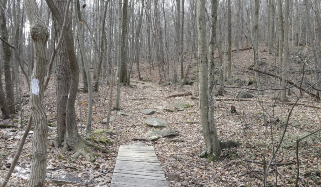 Appalachian Trail, OutdoorZ.Life