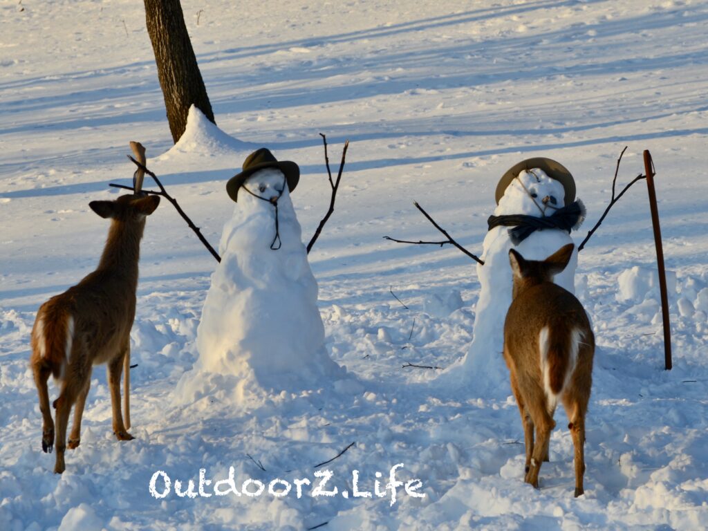 Outdoorzlife, Snowman