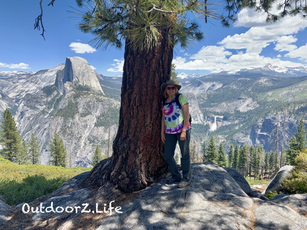 A picture of the tree where we took at lunch break at Glacier Point, Yosemite National Park.