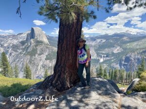 A picture of the tree where we took at lunch break at Glacier Point, Yosemite National Park.