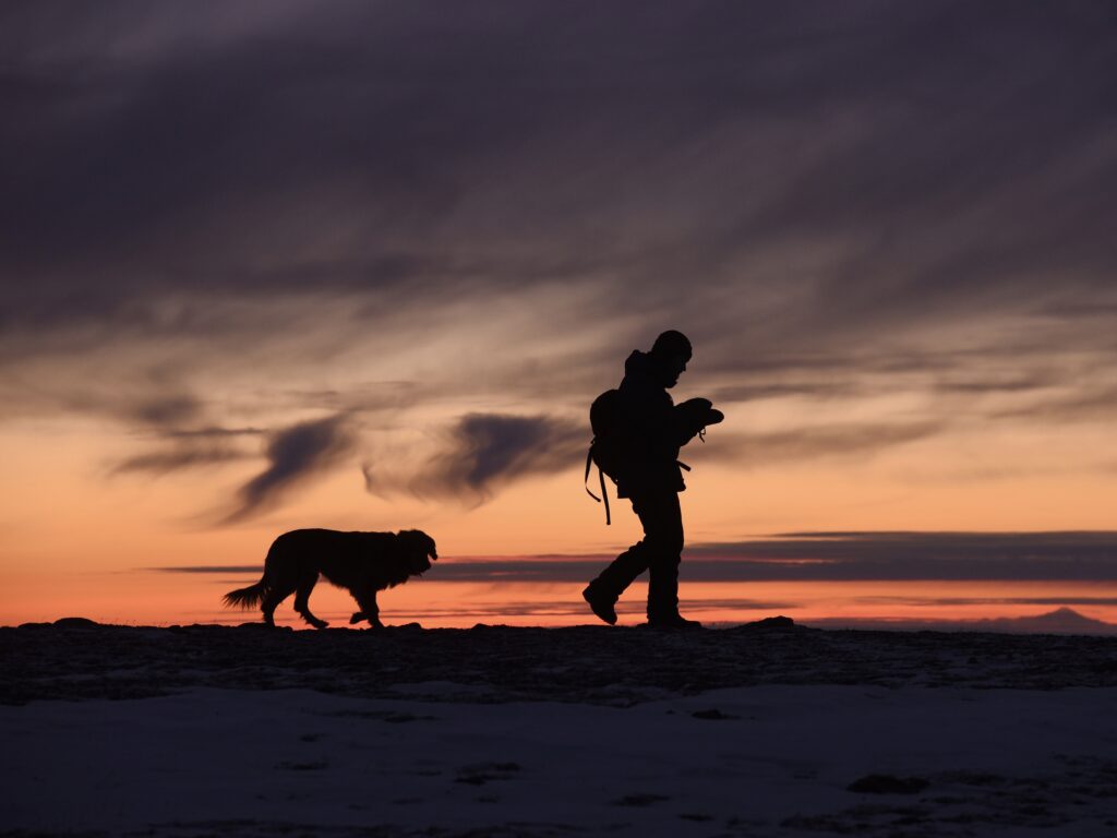 Hiking with your dog