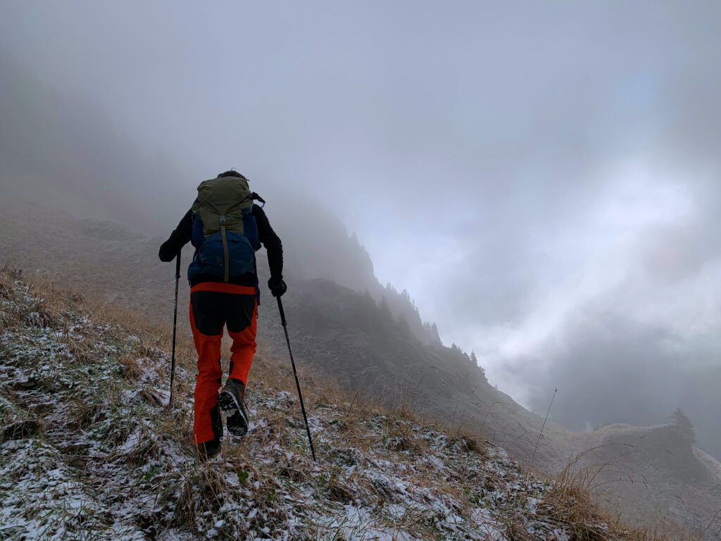 Hiker with trekking poles