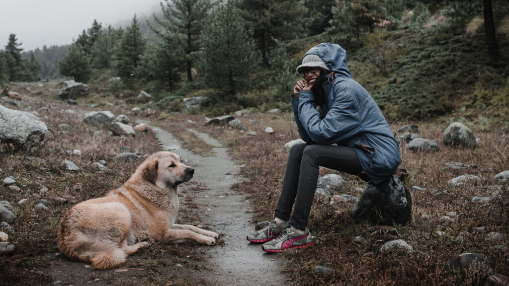 Ideas for hiking with dogs