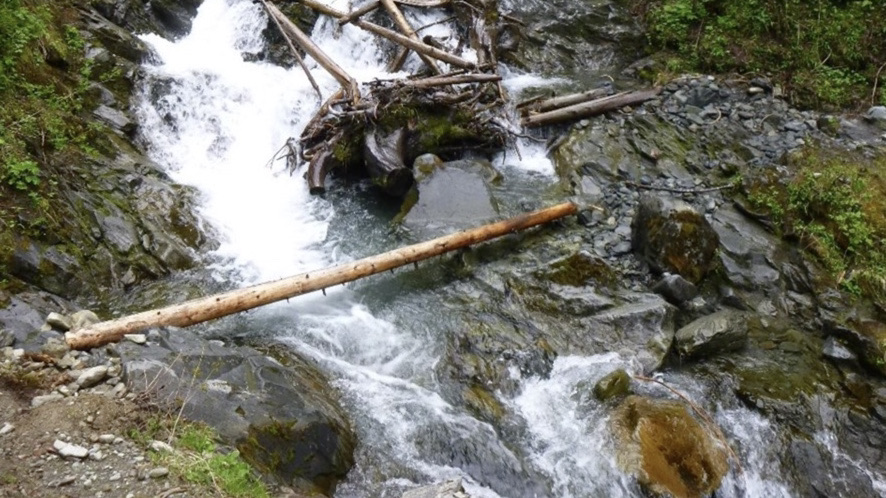 Enchanted Valley - Olympic National Park