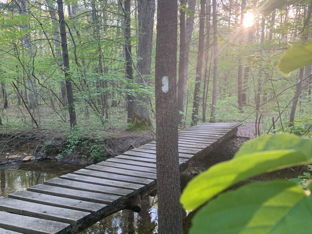 The Appalachian Trail