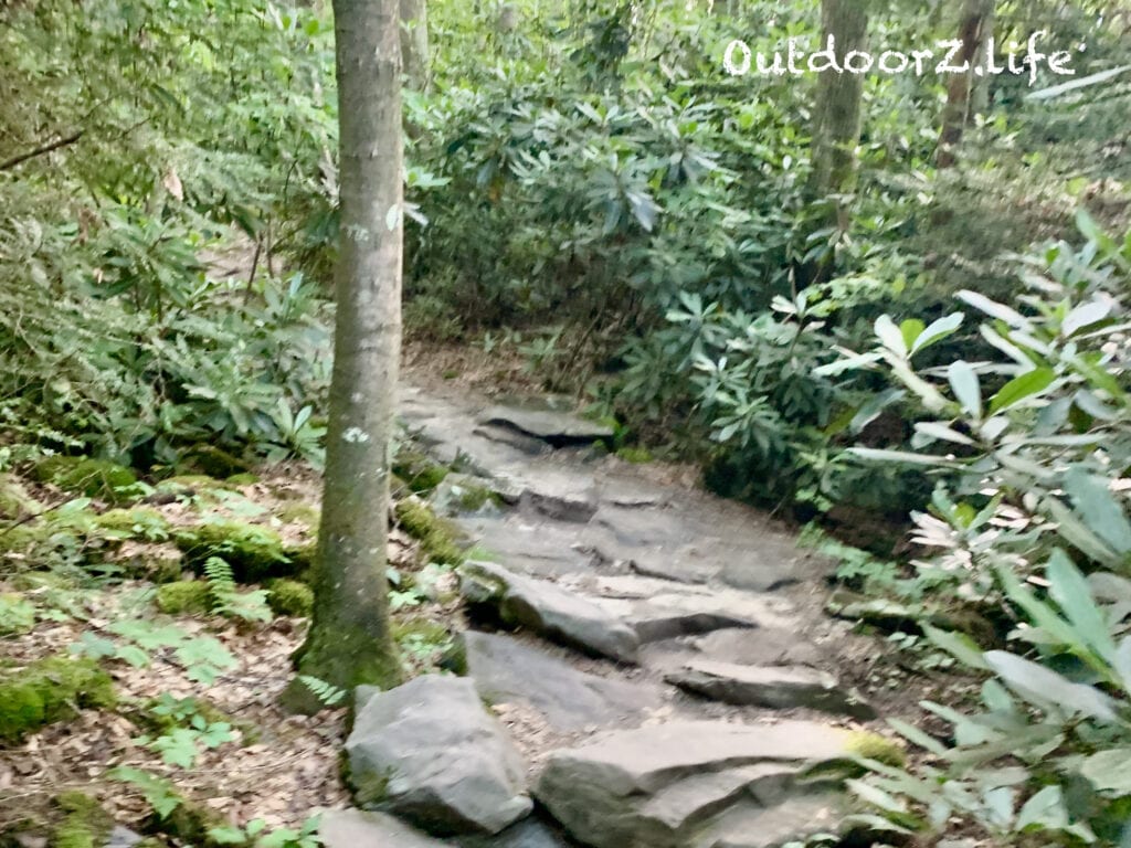 Rocks and Rhododendrons on the trail