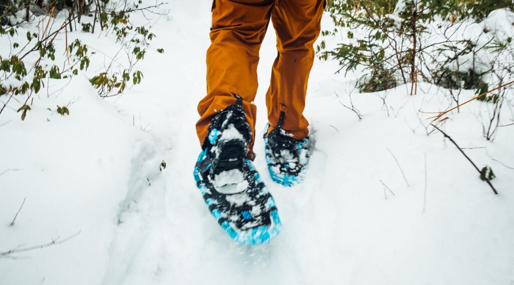 Picture of snow shoeing