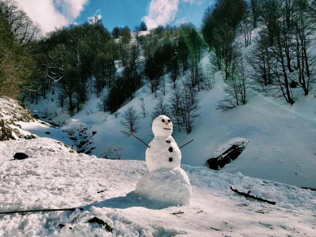 Picture of a snowman