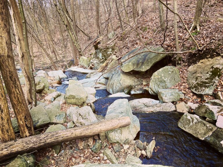 Highlands Trail NJ Scout Run Creek