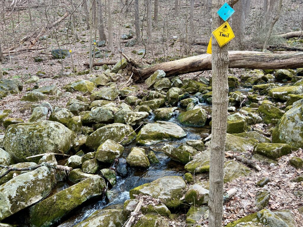 Creek crossing on the Highlands Trail in NJ.