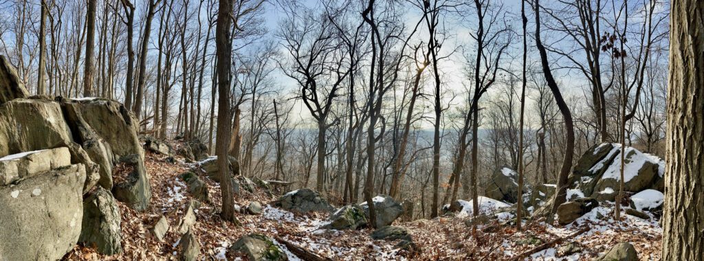 A hiking trail at a local park