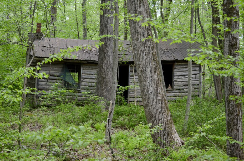 An abandoned cabin in the South Branch Wildlife Management Area.