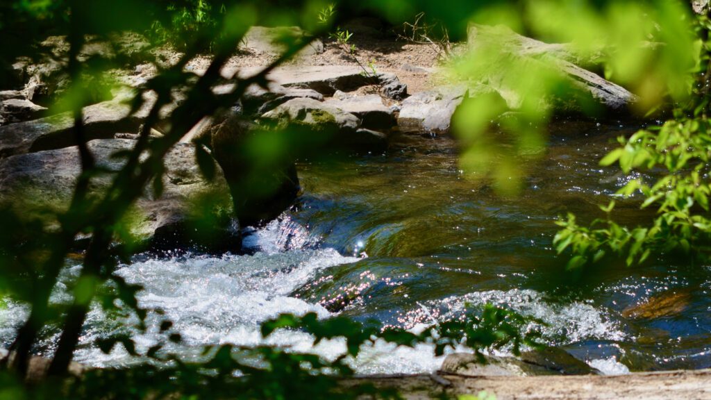 South Branch of the Raritan River near Califon.