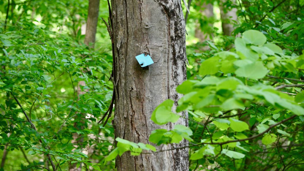 Highland Trail marker.