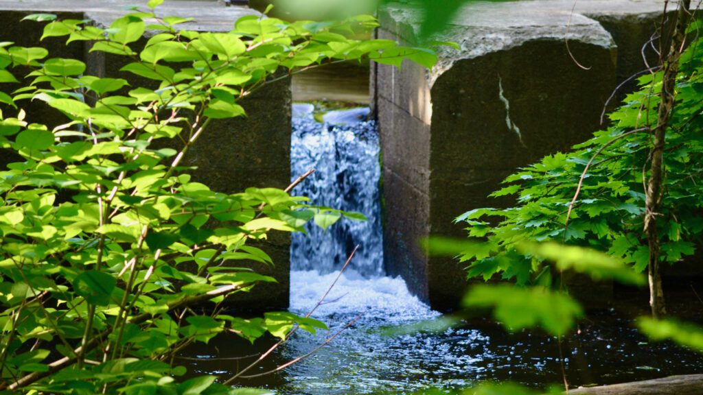 Long Valley and Mill Pond Park.