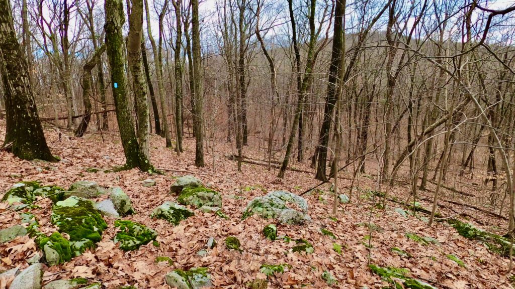 Jenny Jump Trail above Mountain Lake