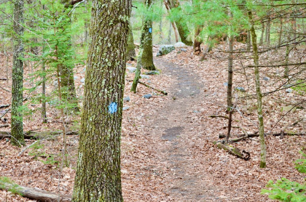 Fossil Trail in Spring.