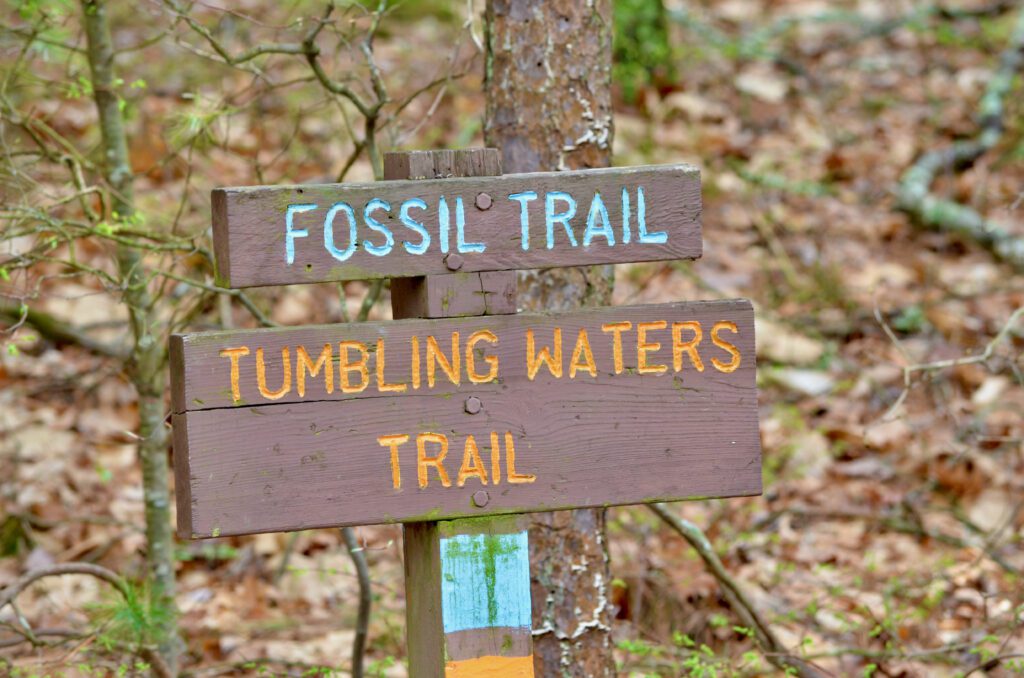 Fossil Trail Delaware Water Gap