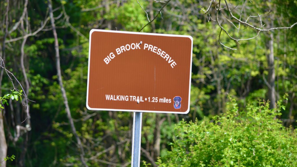 Big Brook Preserve Walking Trail.