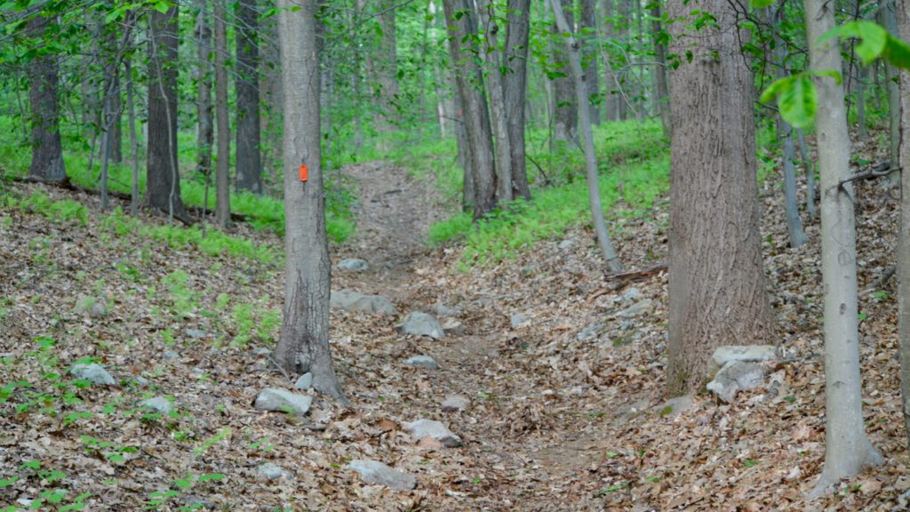 The orange trail at Stephens State Park.