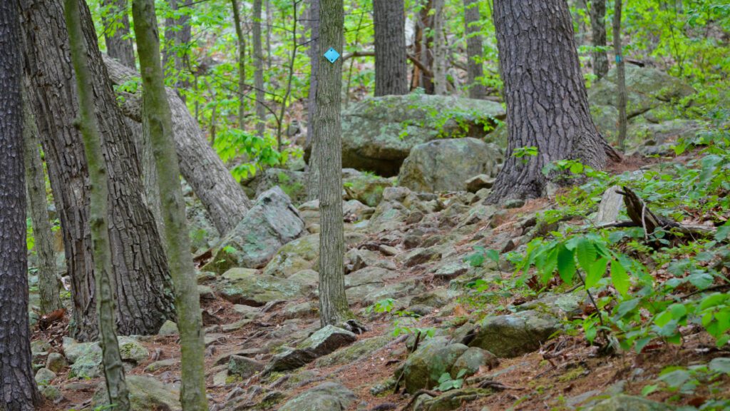 The Highlands Trail to the north of Stephens State Park.