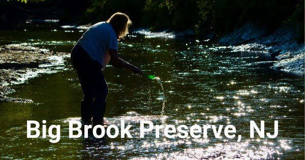 Big Brook Preserve NJ
