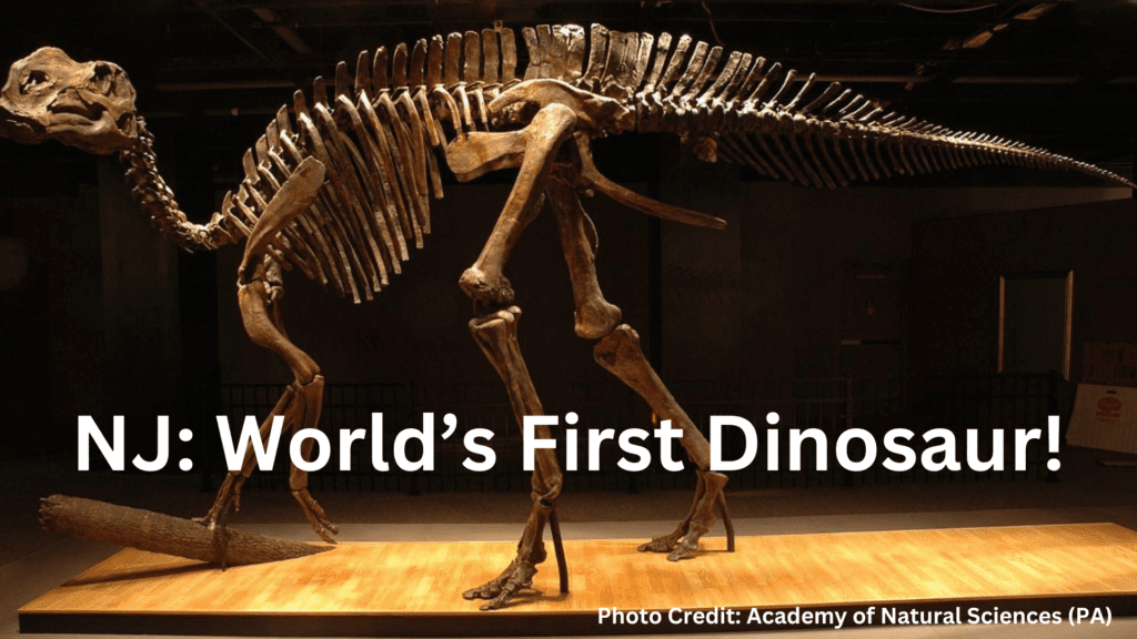 NJ: Worlds's First Dinosaur