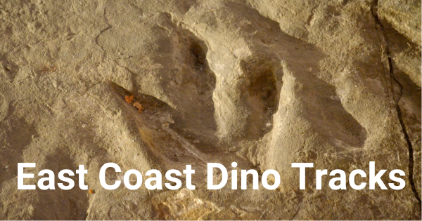 East Coast US Dinosaur Tracks