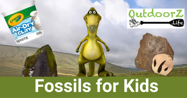 Fossils for Kids