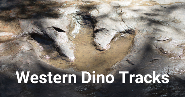 Western US Dino Tracks