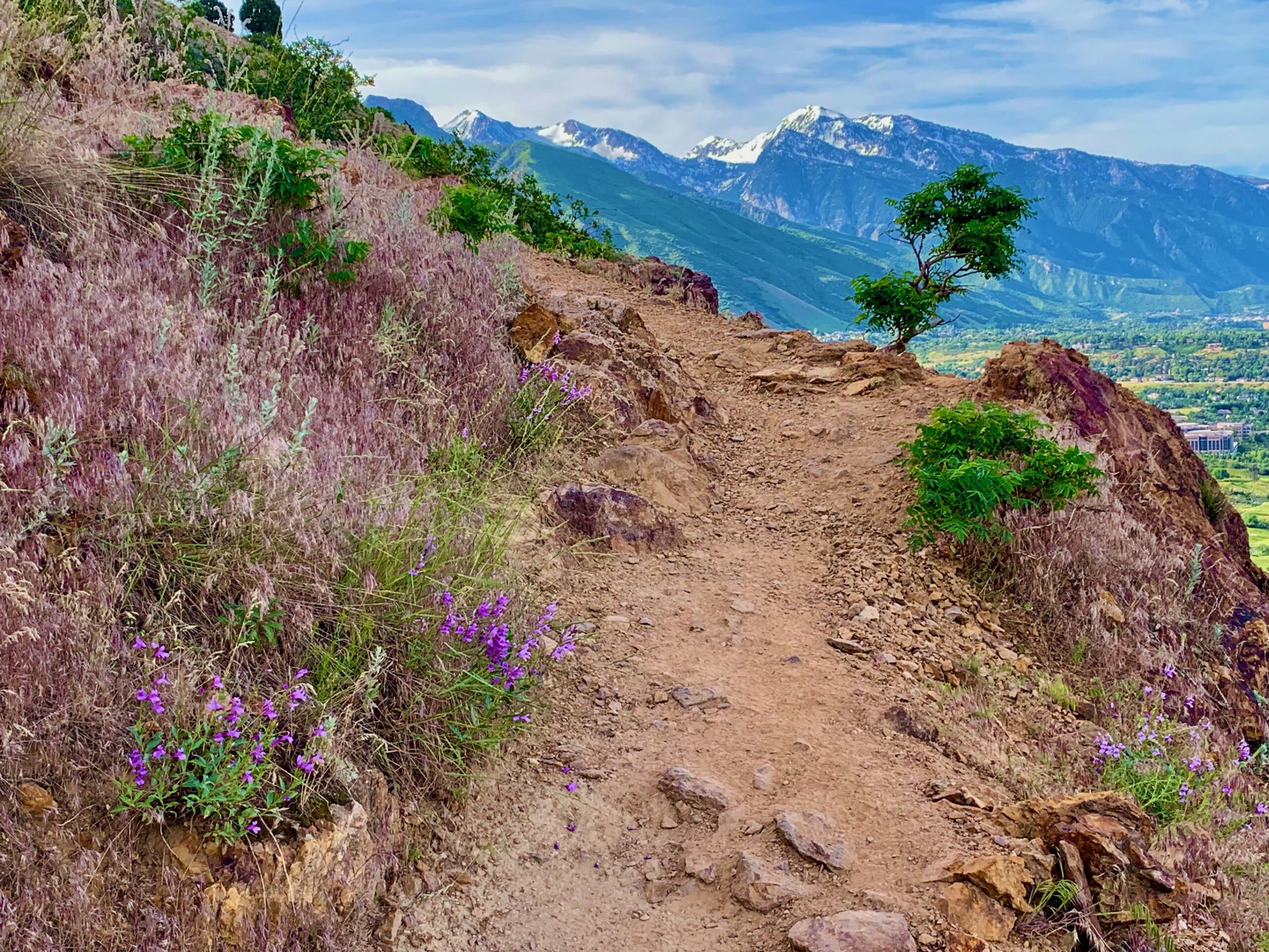 Hiking trail on Mount Olympus in Utah