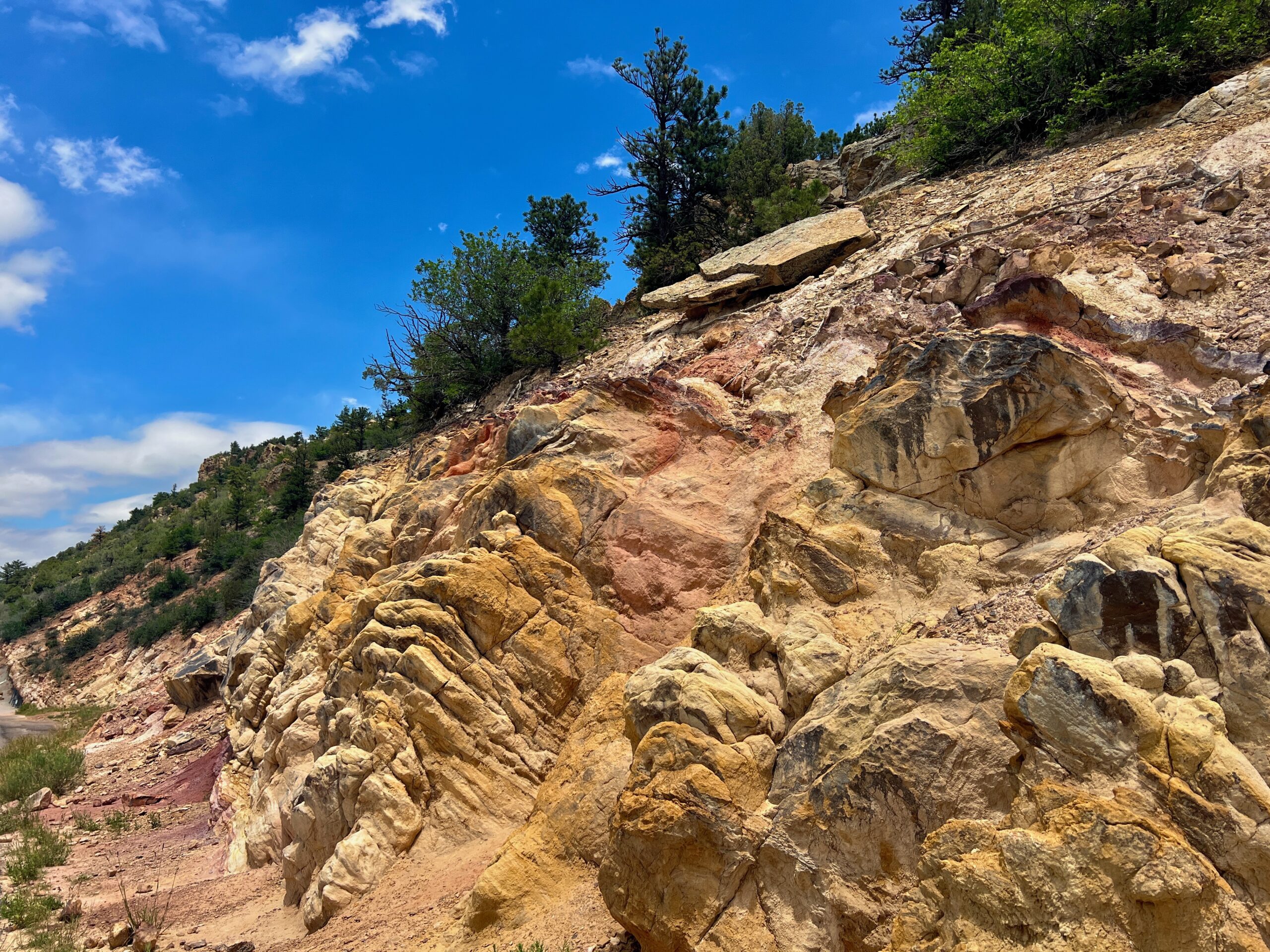 Yellow, tan, and reddish rock formations beside the route at Dinosaur Ridge