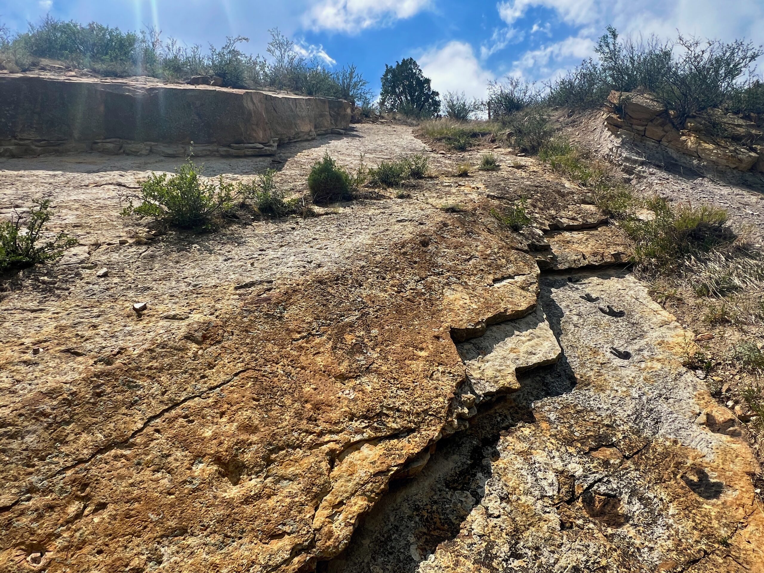 Exposed rock layers with dinosaur footprints along the right side at Dinosaur Ridge