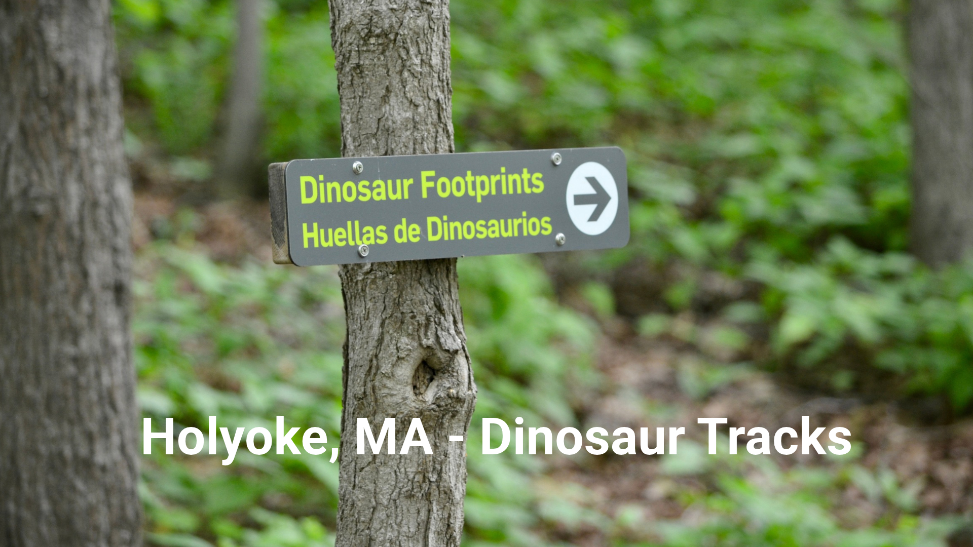 Trail sign to dinosaur tracks at Holyoke, MA