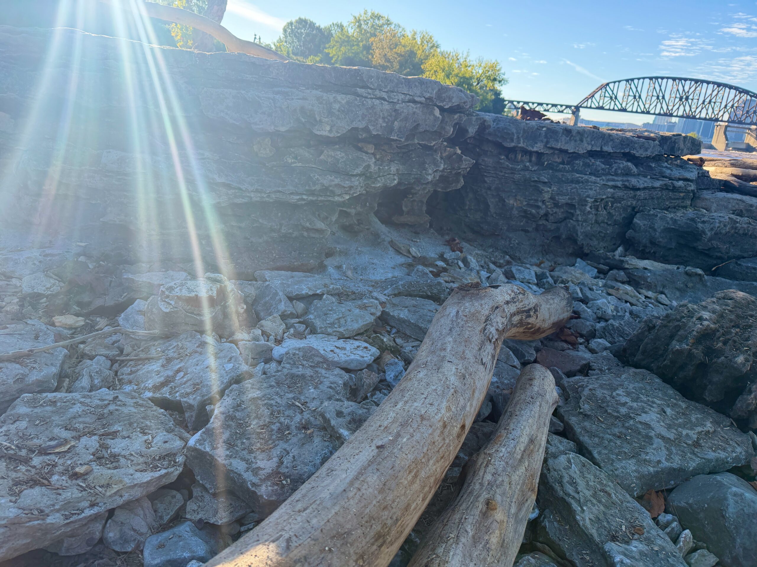 Fossil site near Louisville