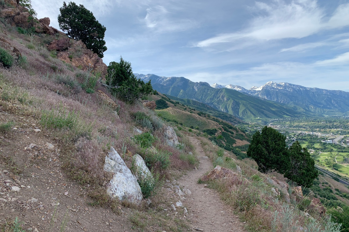 Narrow section of Mount Olympus Trail following the mountainside