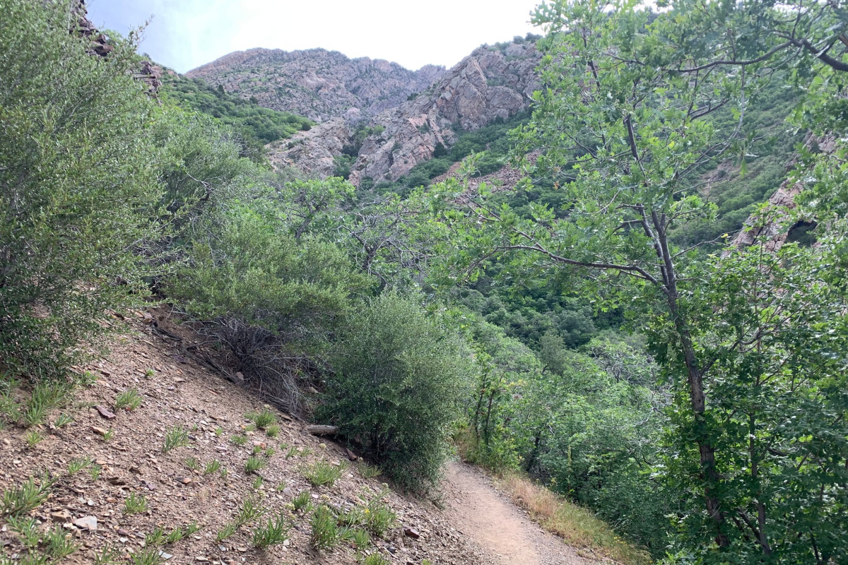 Mount Olympus Trail with rising terrain and rocky ridges ahead