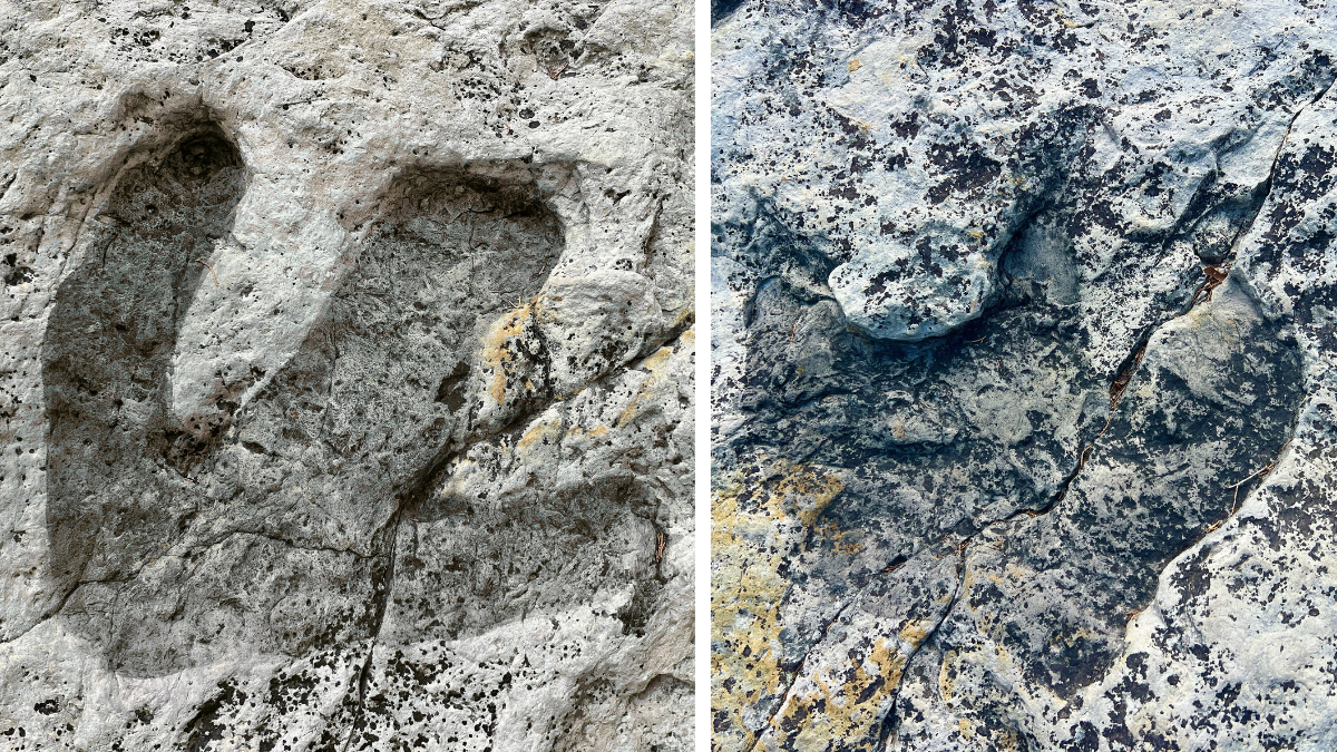 Close-up of two dinosaur tracks at Dinosaur Ridge