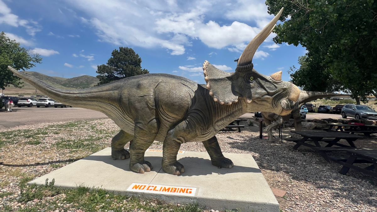 Triceratops sculpture at Dinosaur Ridge