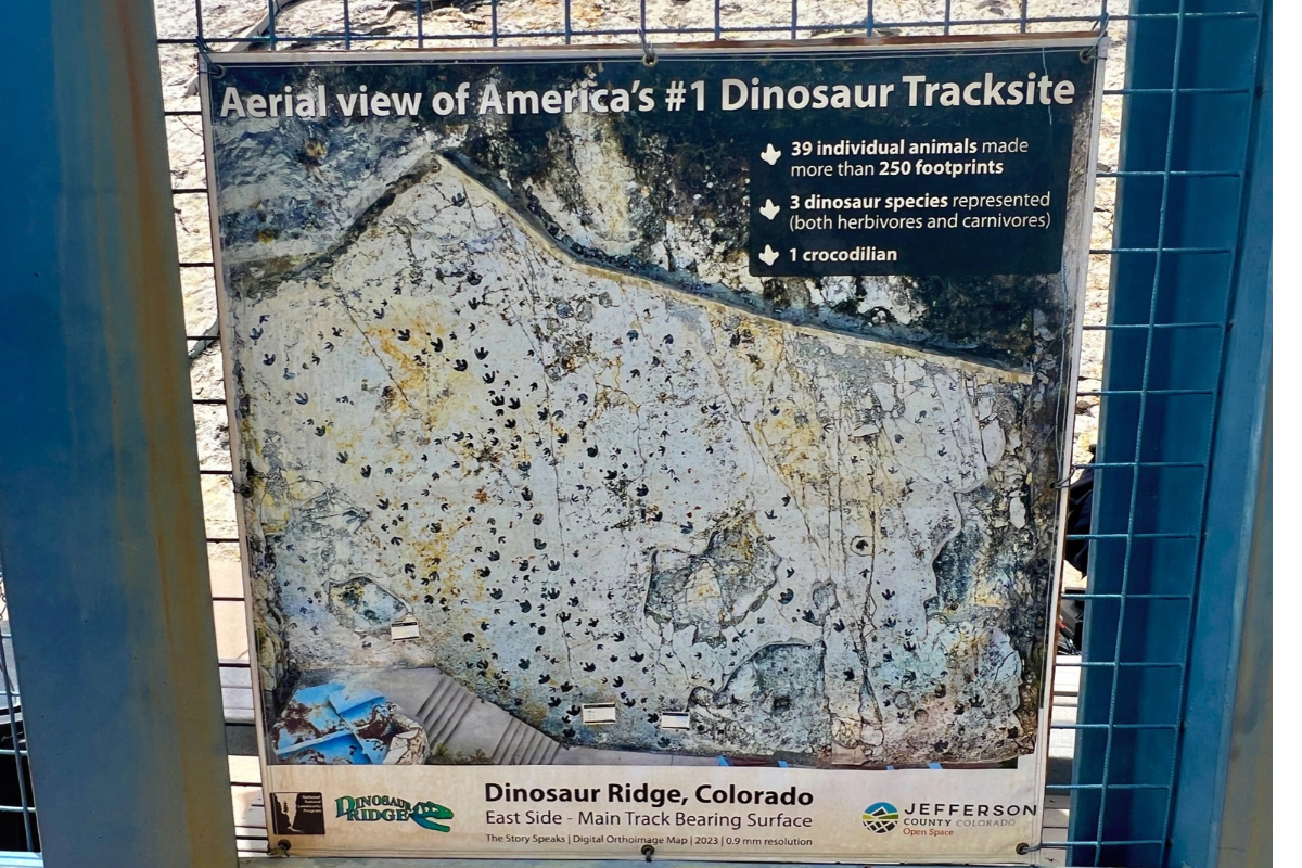 Interpretive sign showing an aerial view of the main dinosaur tracksite at Dinosaur Ridge
