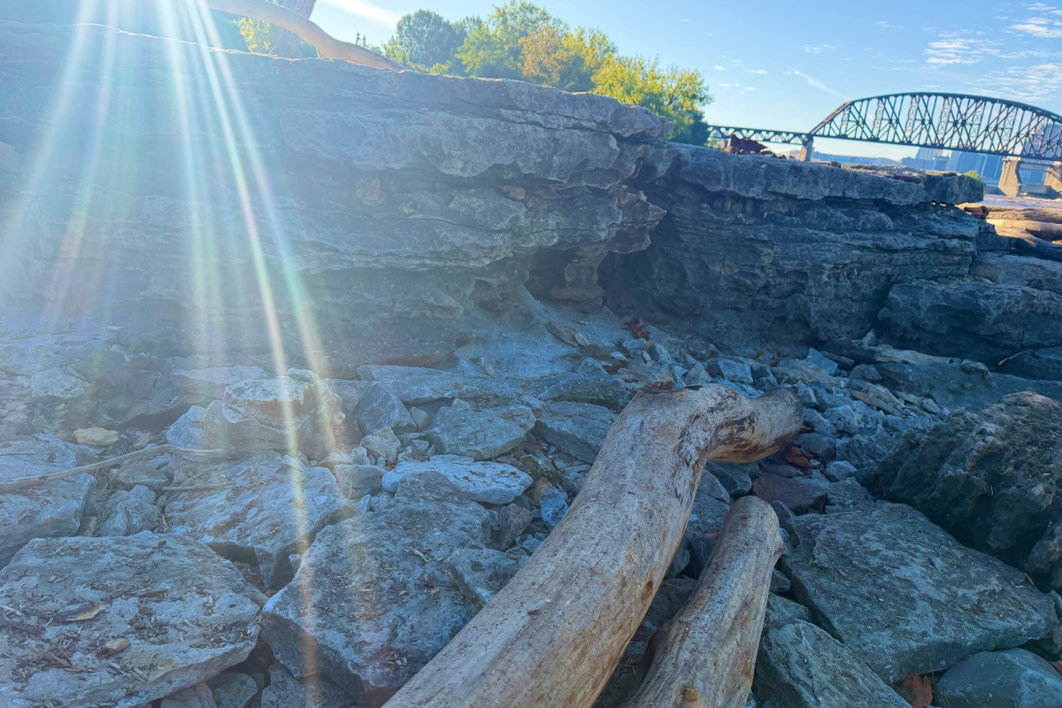 Layered rock ledges and driftwood at Falls of the Ohio, with a steel bridge and distant Louisville buildings in the background