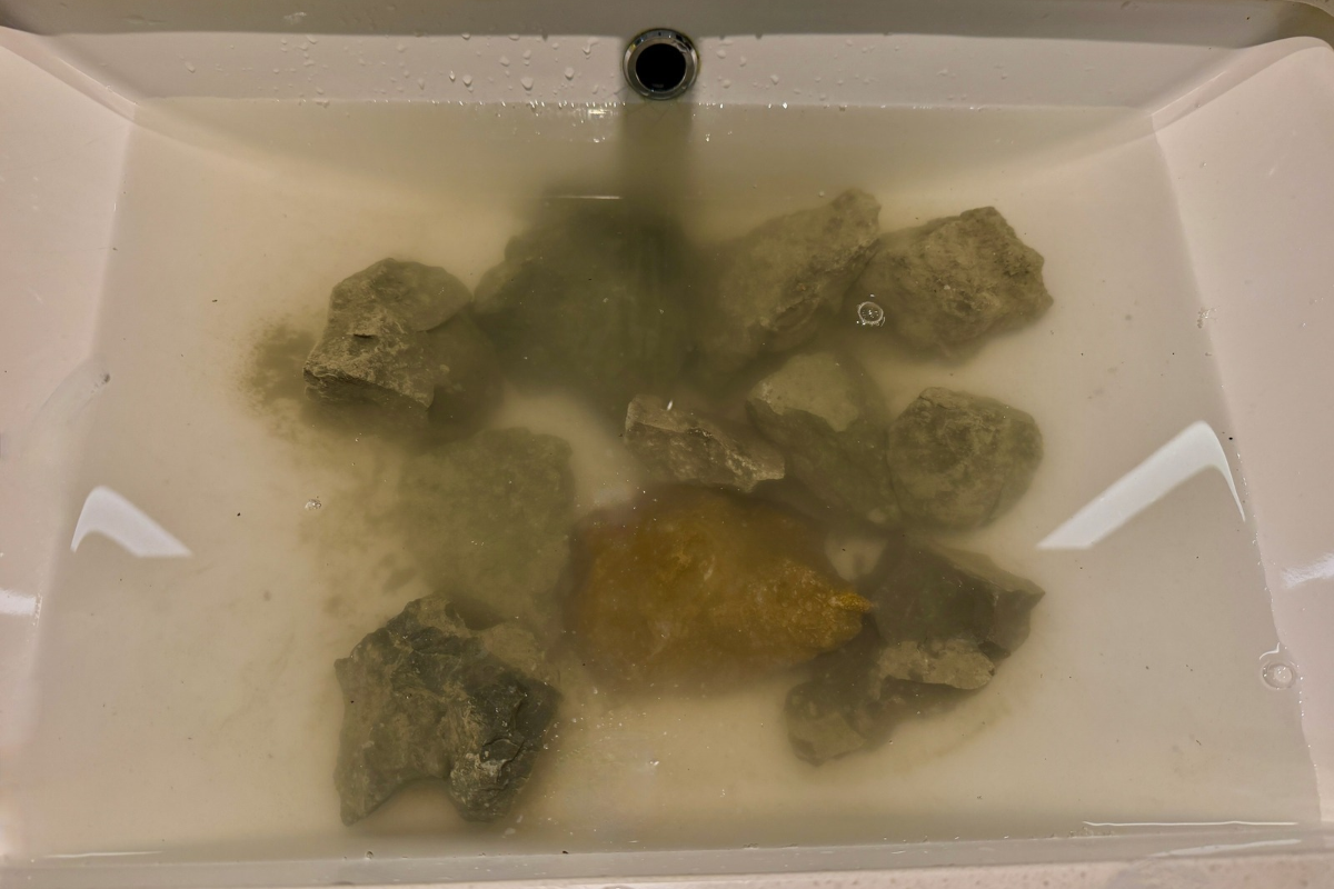 Fossil-bearing rocks soaking in cloudy water in a hotel bathroom sink