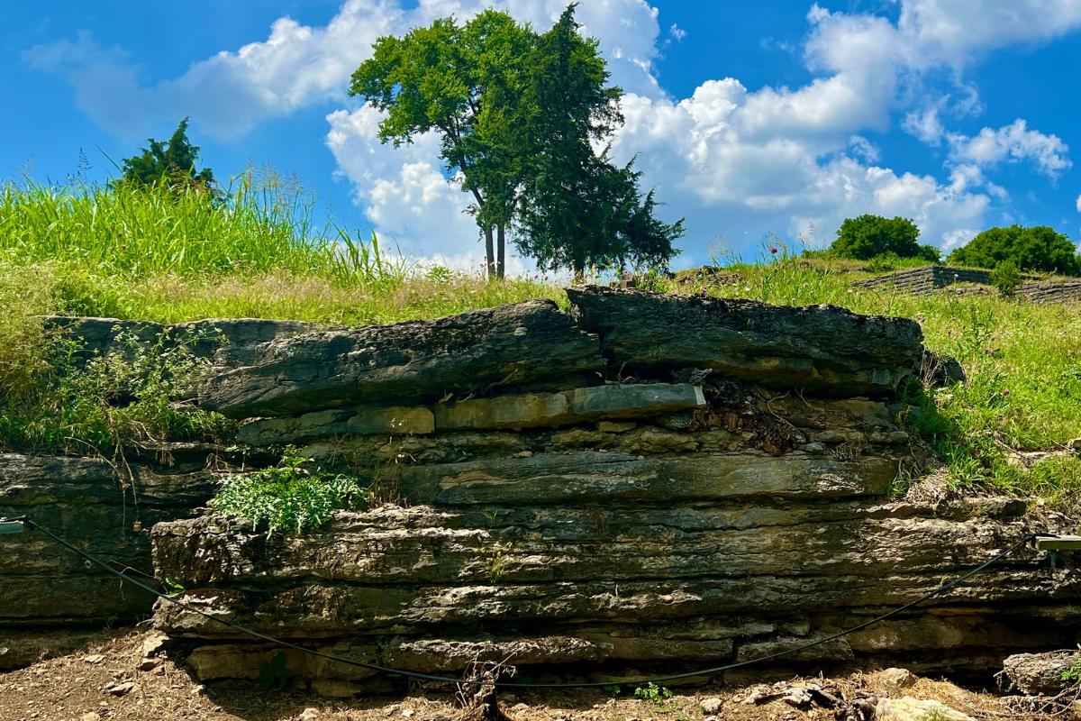 Exposed layers of rock behind a protective cable barrier at Fort Negley, with grass and trees above