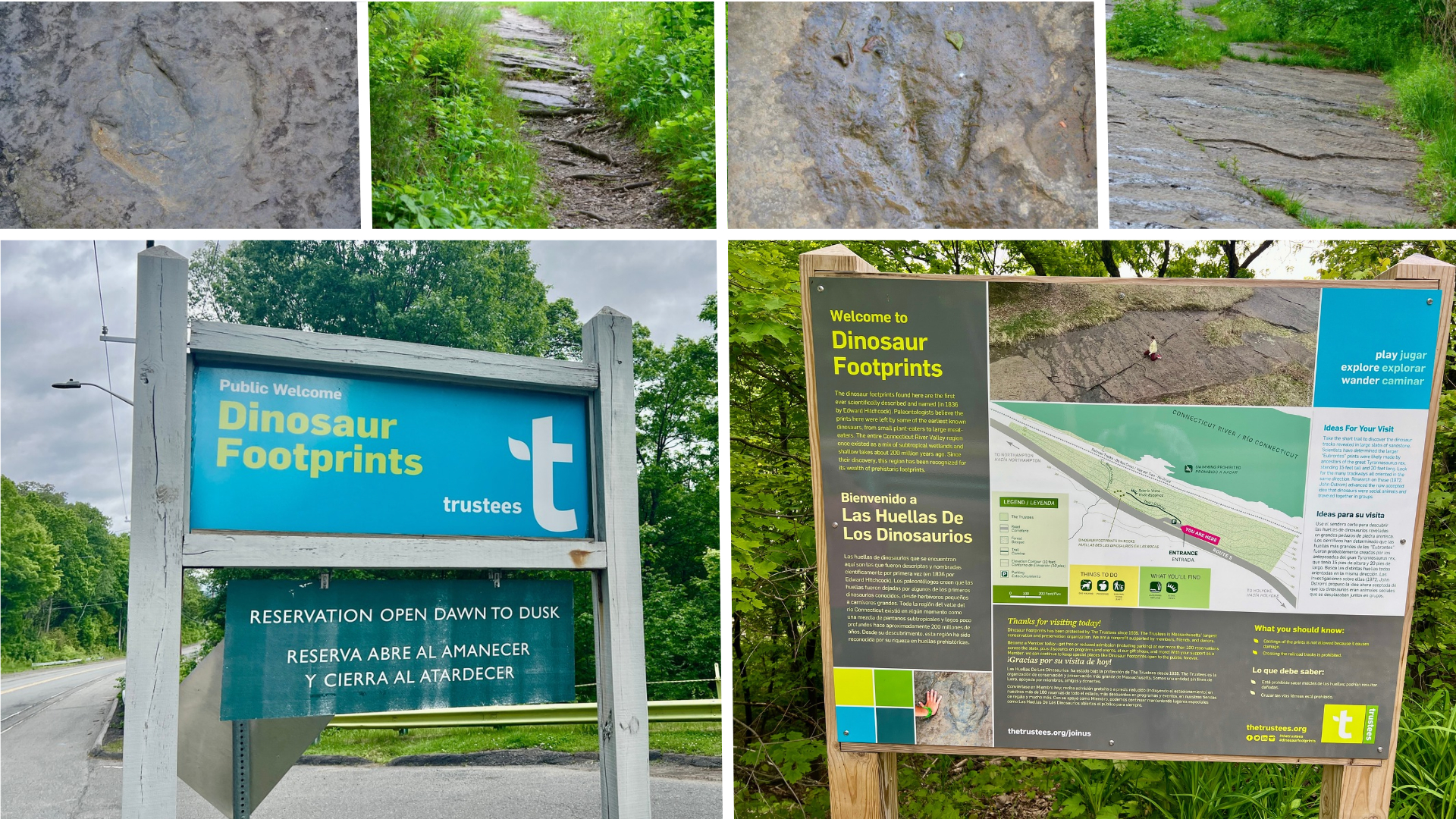 Visiting Dinosaur Footprints at Holyoke, MA