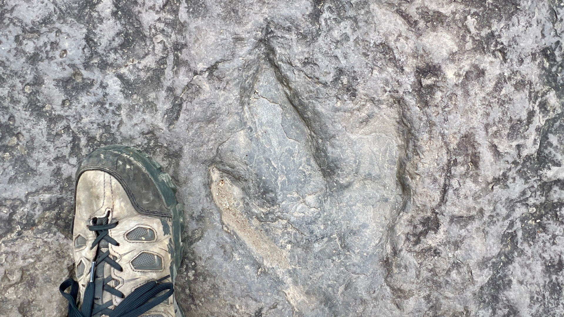Dinosaur Footprint at Holyoke, MA