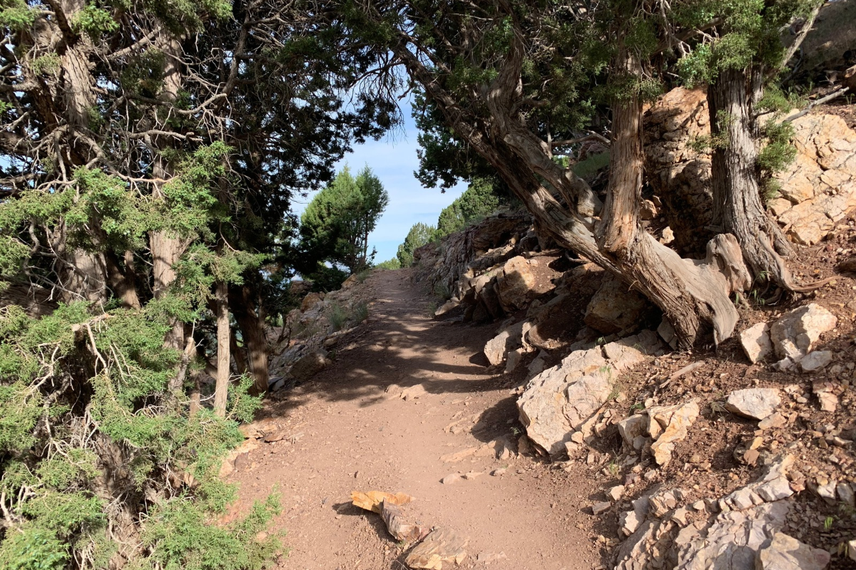 A section of Mount Olympus Trail in Utah